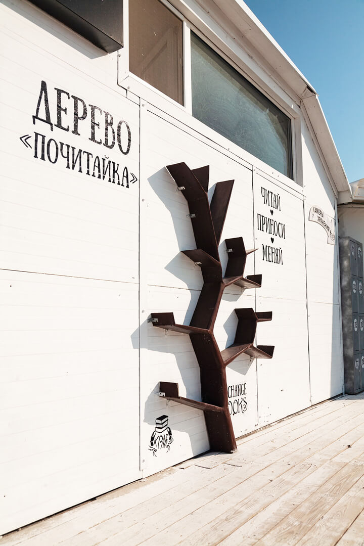 изображение дерева почитайка на пляже Краб, Штормовое, Крым